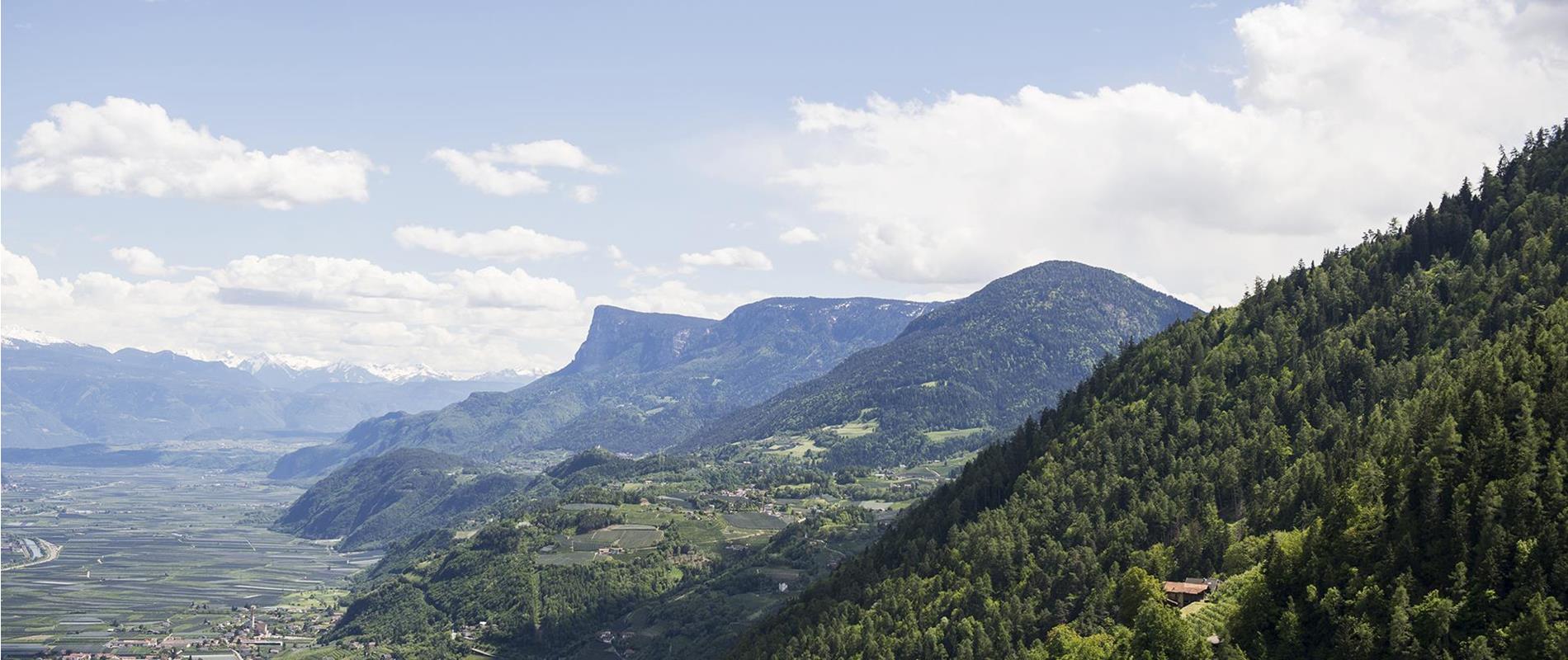 Echte Qualität am Berg