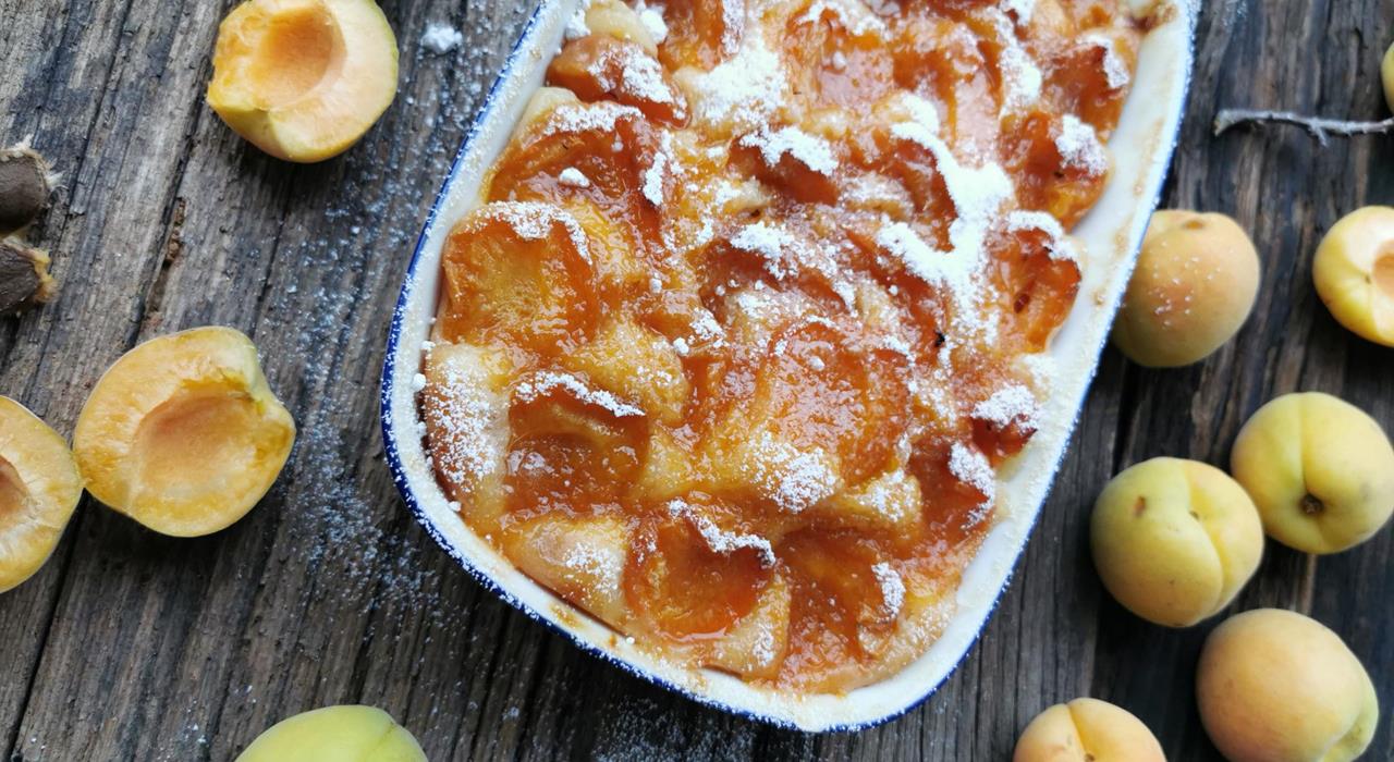 Apricot cake Val Venosta