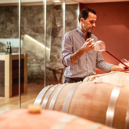 I vignaioli indipendenti e le cantine di Scena