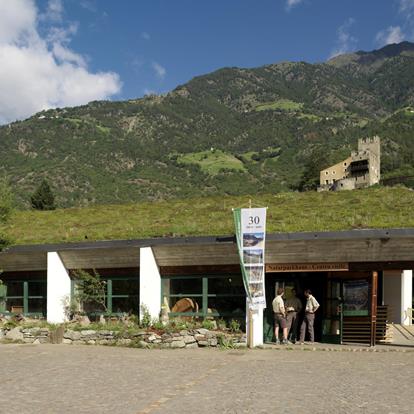 Natuurcentrum Texelgroep