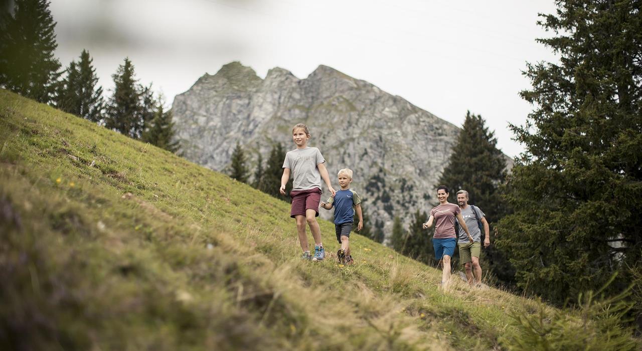 Hiking with the family in the hiking area Hafling, Vöran, Meran 2000