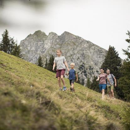 Escursioni con la famiglia nella zona escursionistica Avelengo, Verano, Merano 2000