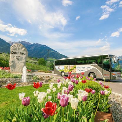 Reservierungsanfrage Meraner Land Express