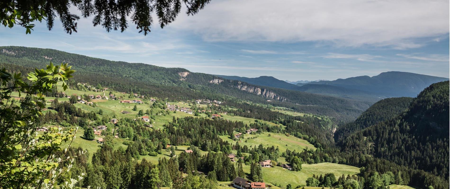 La cresta della Mendola in Alta Val di Non