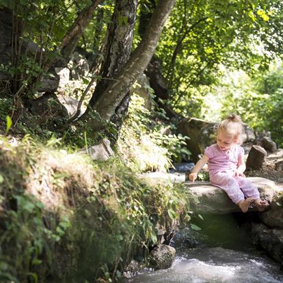 Seguire la corrente - sentieri delle rogge in Alto Adige