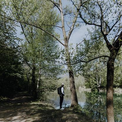 The Falschauer Biotope in Lana