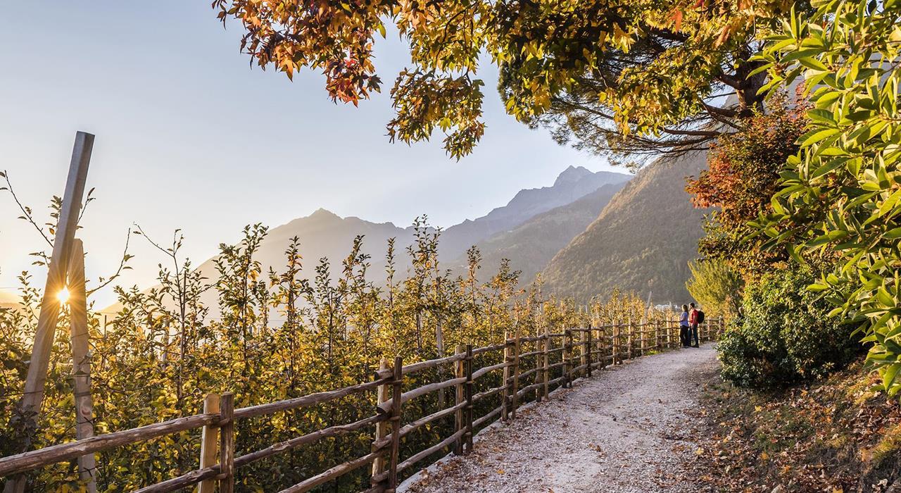 Essen&Trinken-Weinweg-Dorf-Tirol-hn[2]