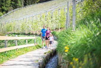 Hiking with children in Schenna near Meran