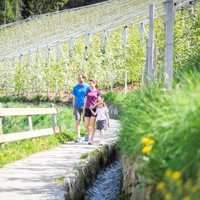 Hiking with children in Schenna near Meran