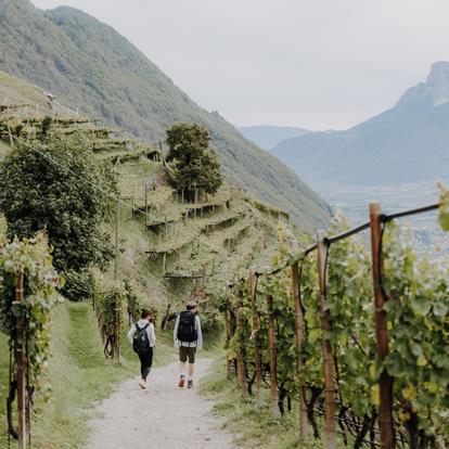 Meran und Umgebung in Südtirol