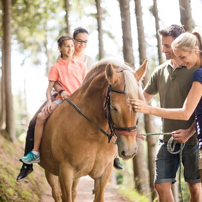 Horse Riding in Schenna