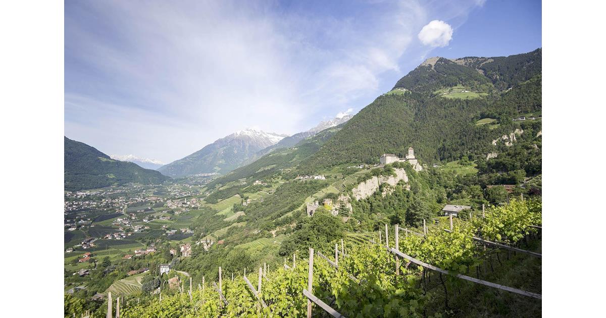 Meteo E Webcam A Tirolo