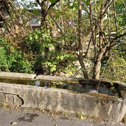 Acqua di sorgente di Parcines per la ricarica