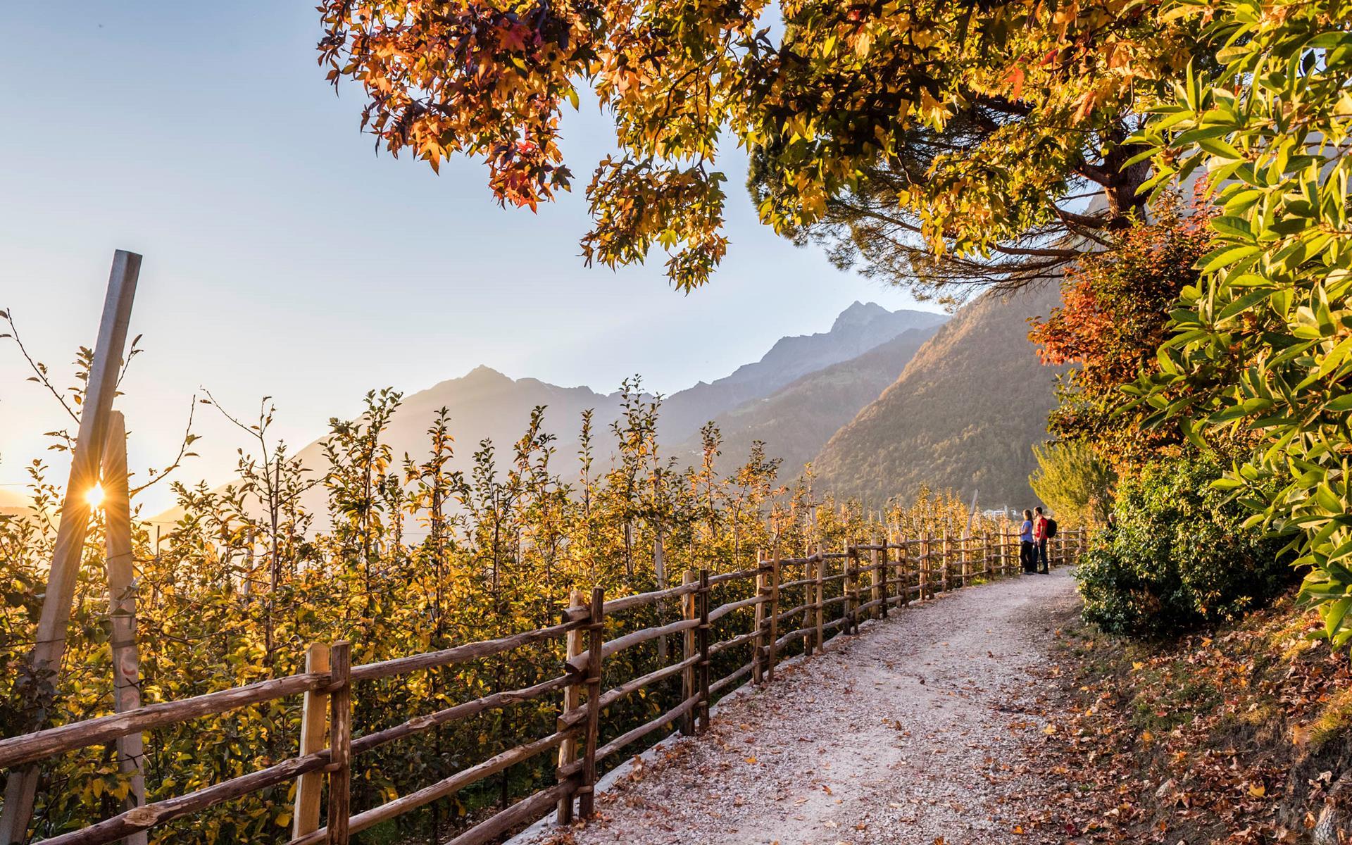 hannes-niederkofler-herbstwandern-4