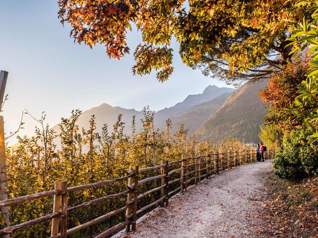 hannes-niederkofler-herbstwandern-4