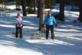 Sledding