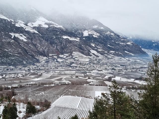 gsindboden-wandern-schnee-winter-tg-naturns-nischler-michaela-11[2]