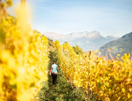 tg-naturns-maria-gapp-falkenstein3