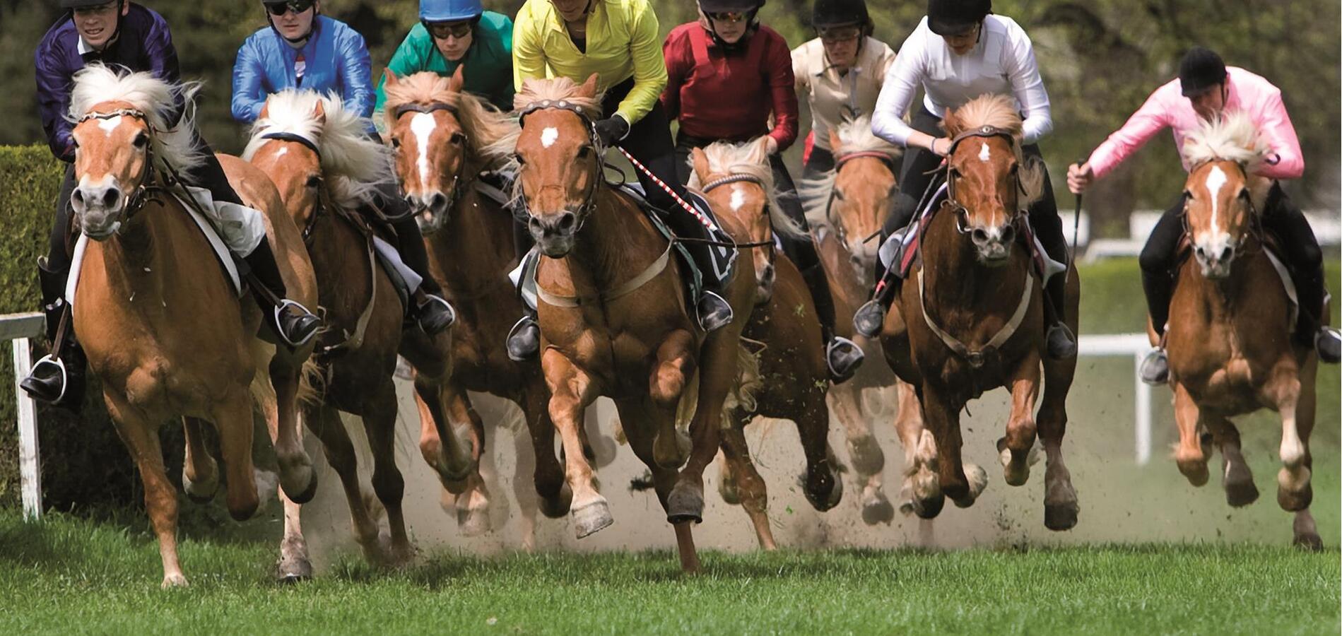 Foly’s story: 130 years of farmers’ gallop races in Meran