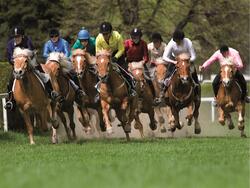 Foly’s story: 130 years of farmers’ gallop races in Meran