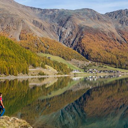 Autunno d'oro