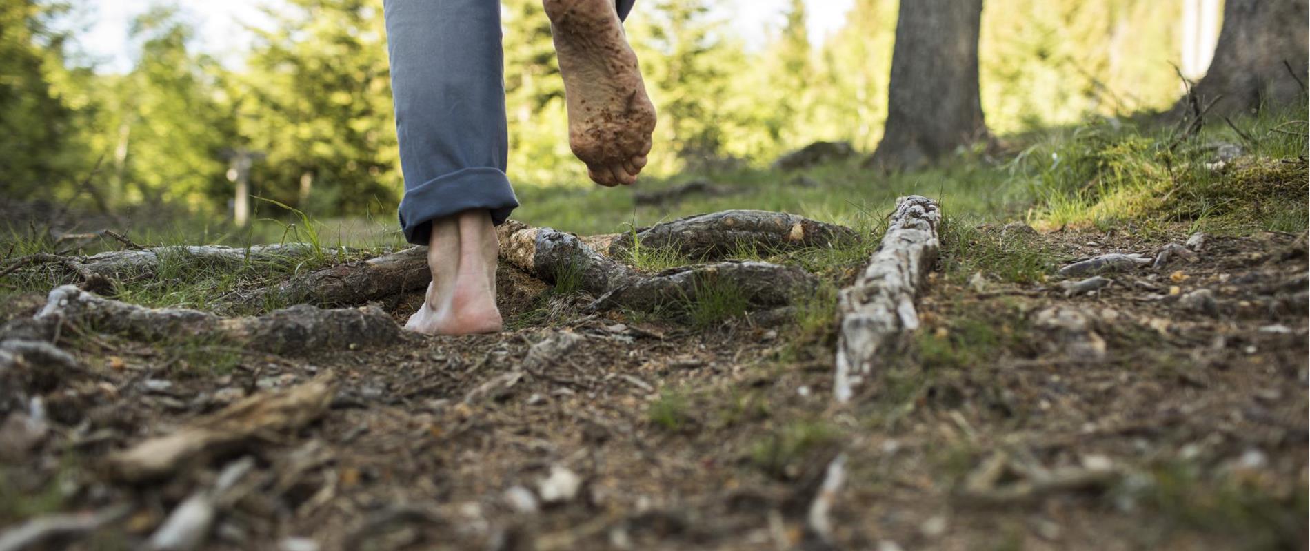 Attivita-Forest-bathing-Avelengo-Verano-Merano2000-ml