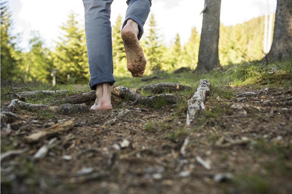 Nature-Forest-bathing-Avelengo-Verano-Merano2000-ml