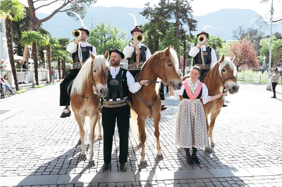 haflinger-pferde-sportverein-bernhard-aichner-ostergalopprennen-2023-5