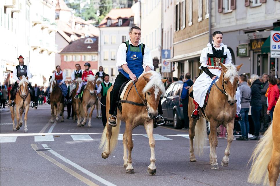 haflinger-pferde-sportverein-bernhard-aichner-ostergalopprennen-2023-6