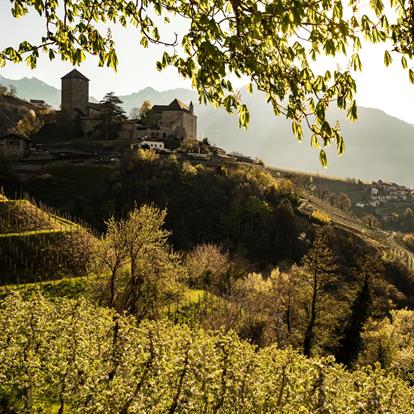 Schloss Tirol
