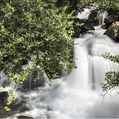 Blaues Gold - Wasserwelten in Partschins