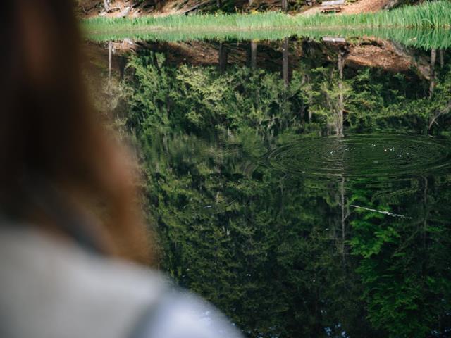 tv-hafling-voeran-meran2000-benjamin-pfitscher-energiequelle-wald-2024-20