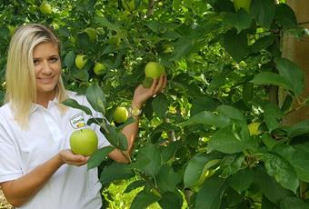 Giuded apple tours at the Grieserhof