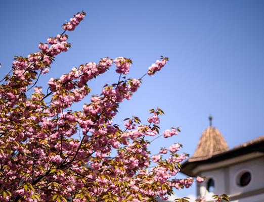 greatthings-fruehling-patrick-schwienbacher-2
