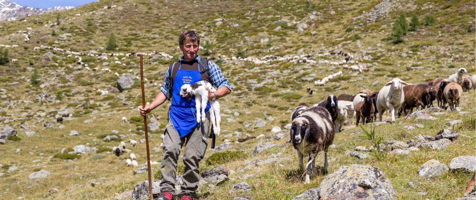 Highlights in the Schnalstal Valley