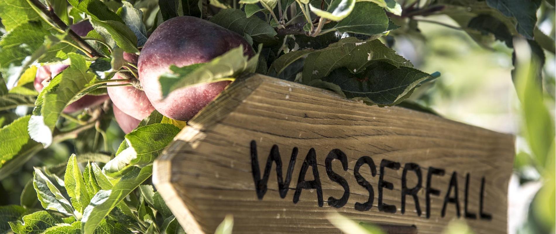 Unser Wasserfall Blog