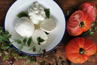 Mozzarella-Tomaten (Caprese)