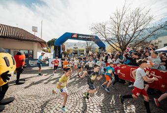 VIP Apple Kids Run