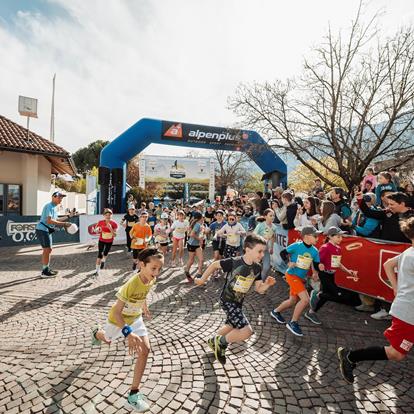 VIP Apple Kids Run