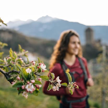 When art, nature, and tradition meet in sweet harmony