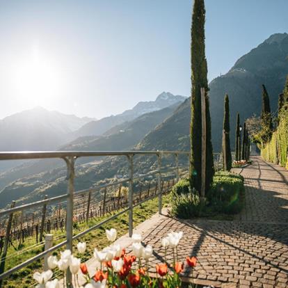 Themenwege & Promenaden