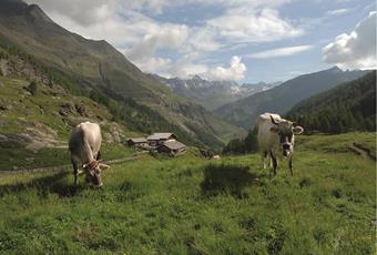 Crossing the mountain huts in saftey