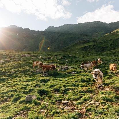 Crossing the mountain huts in safety