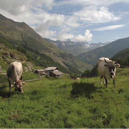 Crossing the mountain huts in saftey