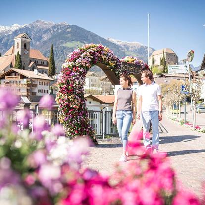 schenna-fruehling-bluete-suedtirol-dd