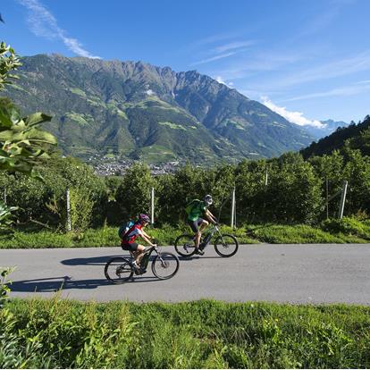 Gemütliche Radtouren können entlang des Etschradwegs gemacht werden