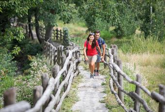 Wandergebiet Marlinger Berg und Vigiljoch