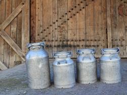 Il miglior latte dell’Alto Adige viene da Avelengo