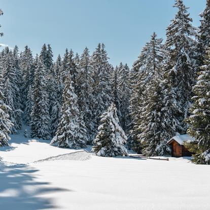Winter in Lana und auf dem Vigiljoch