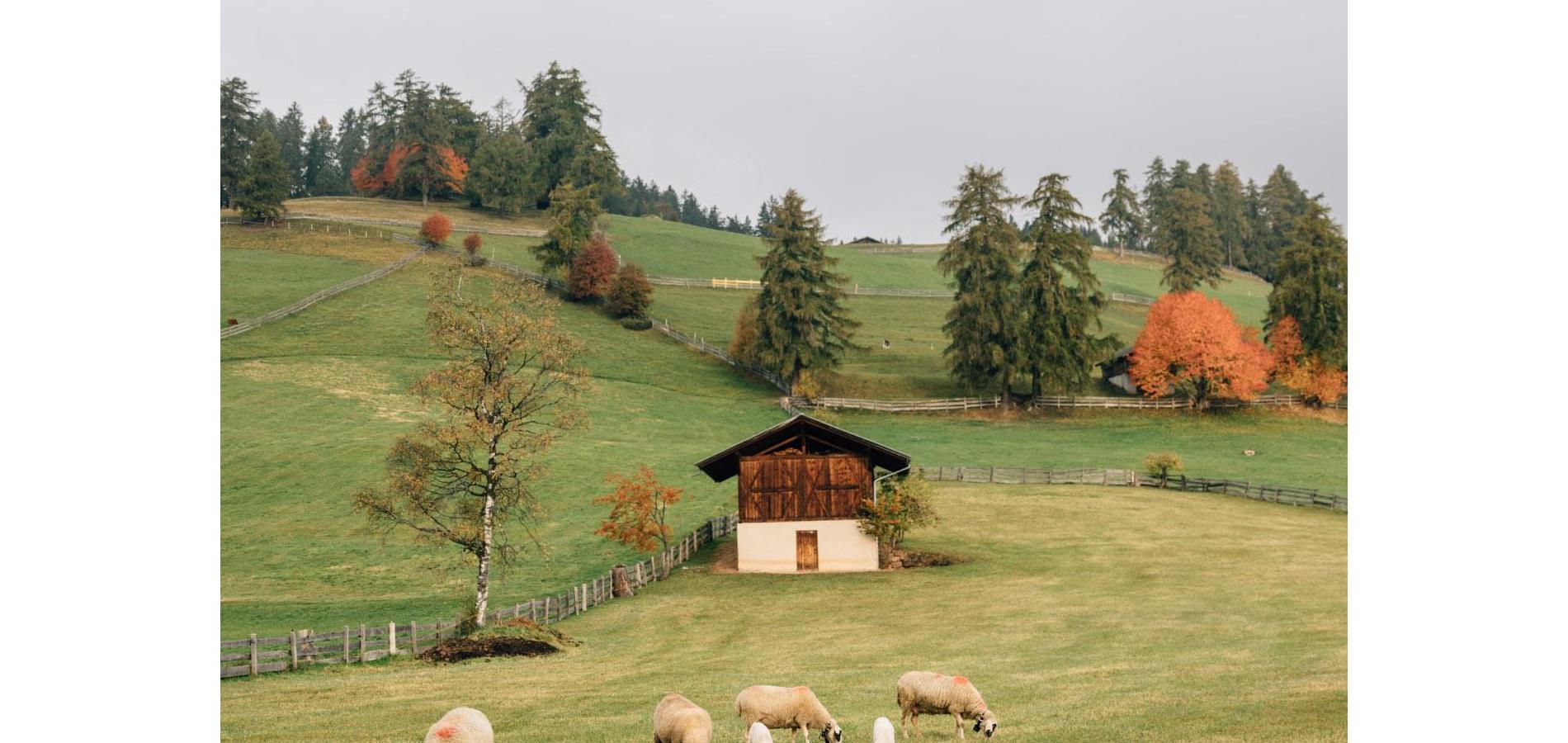 Le nostre malghe: tra luogo di svago e habitat naturale